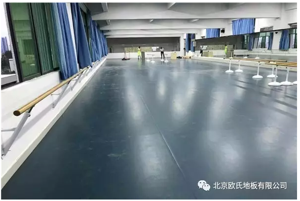 舞蹈室地膠--廣東河源市理工學(xué)校理工學(xué)校成功案例 舞蹈室地膠--廣東河源市理工學(xué)校理工學(xué)校成功案例